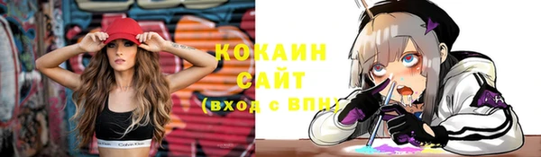 гашик Покров
