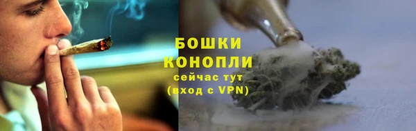 сатива Покровск