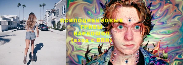 сатива Покровск