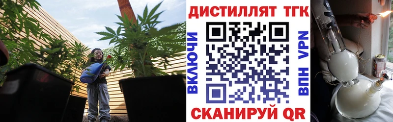 Купить где  Теберда  ТГК гашишное масло 