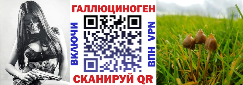 Купить  Теберда  Псилоцибиновые грибы мухоморы 